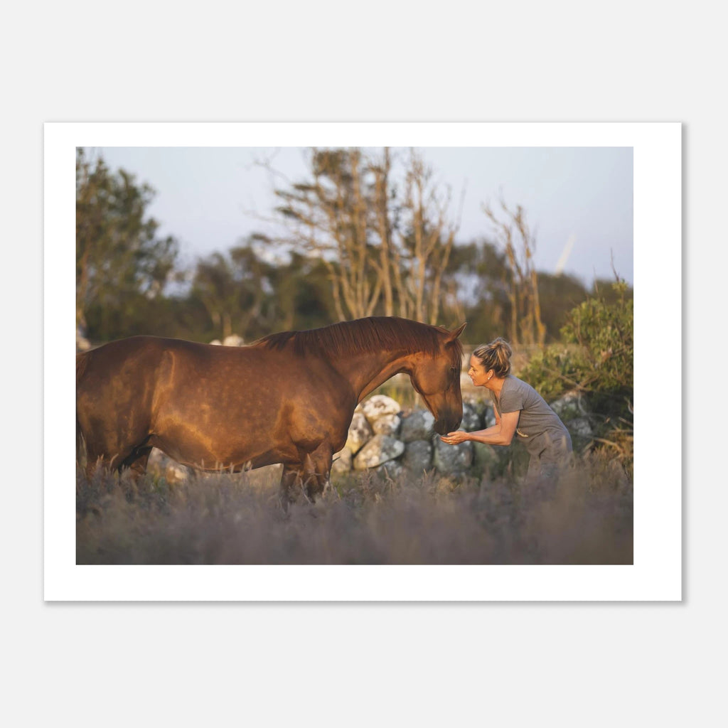 0a8233a1-d481-4fac-9168-f490f17b8a92