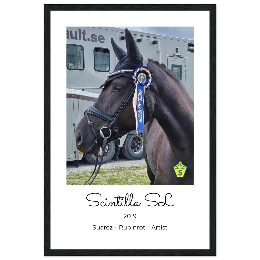 221e246d-a0cb-4df9-88cb-d1d457b100b3