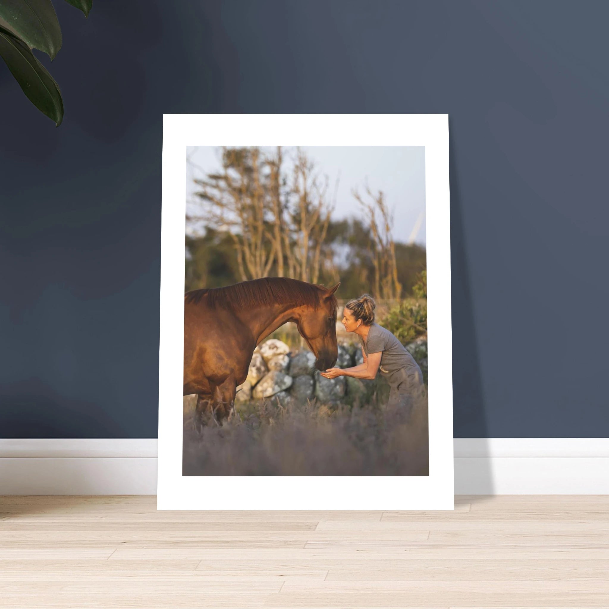 28e9d4ed-2c8e-4073-bdba-1ce82b28ea29