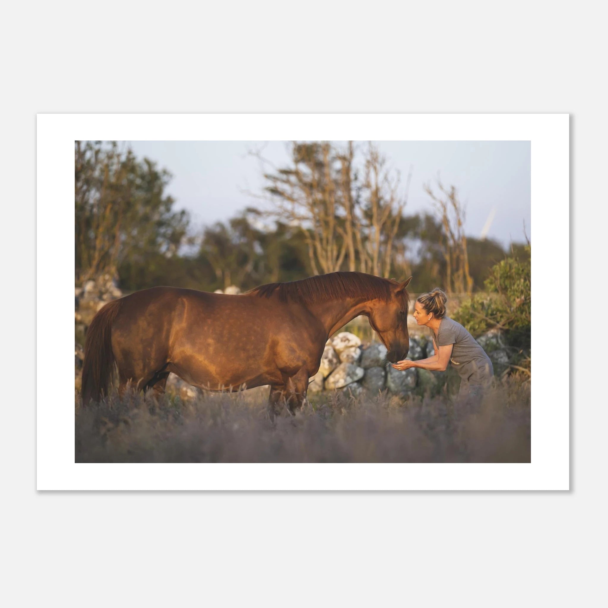 2b312e2f-9de5-4d9a-b5a8-600411c33c9b