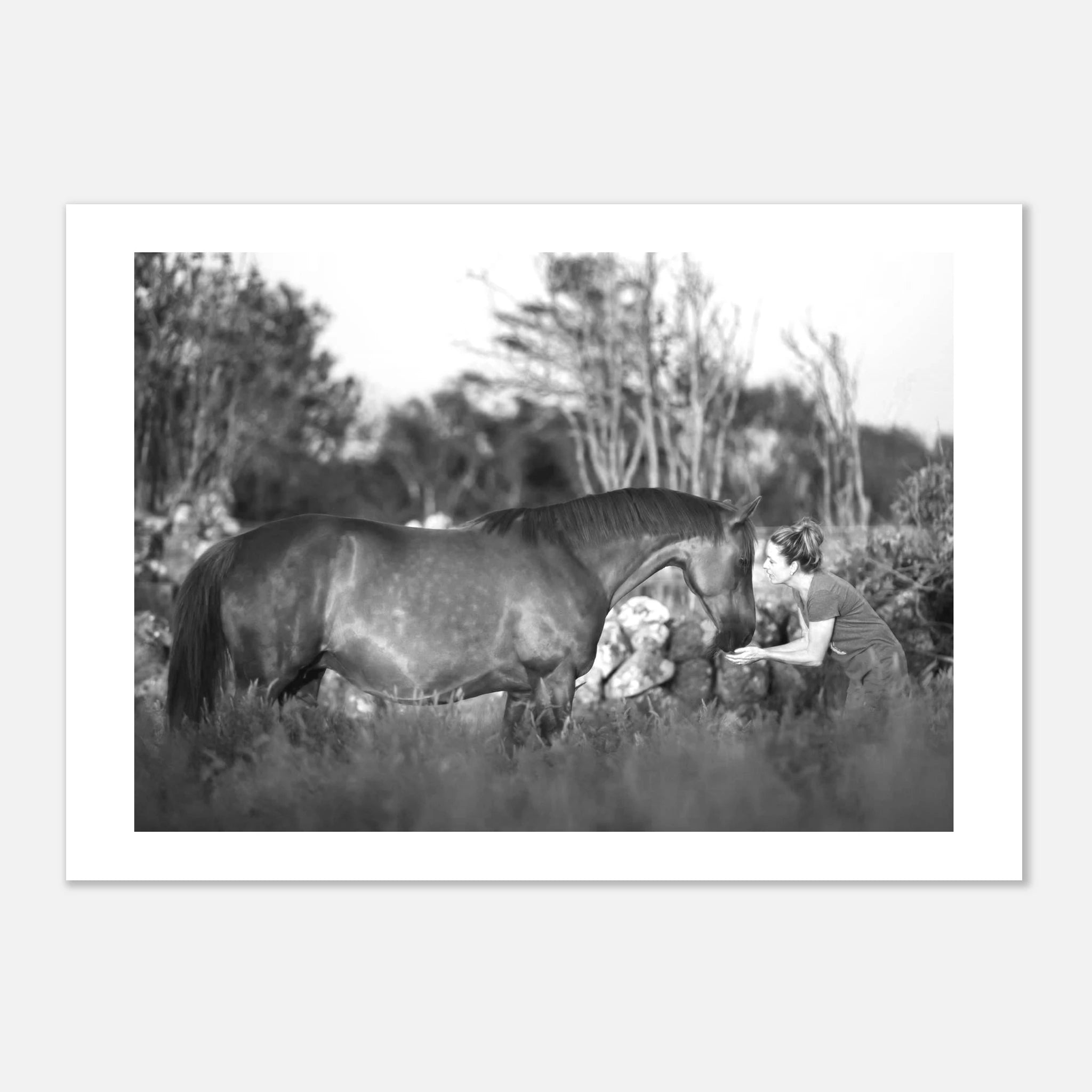 3f25bf91-c95c-486f-b178-fff1419915d5