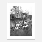 474083f2-f4c4-466b-b08a-0d3dd097d82e