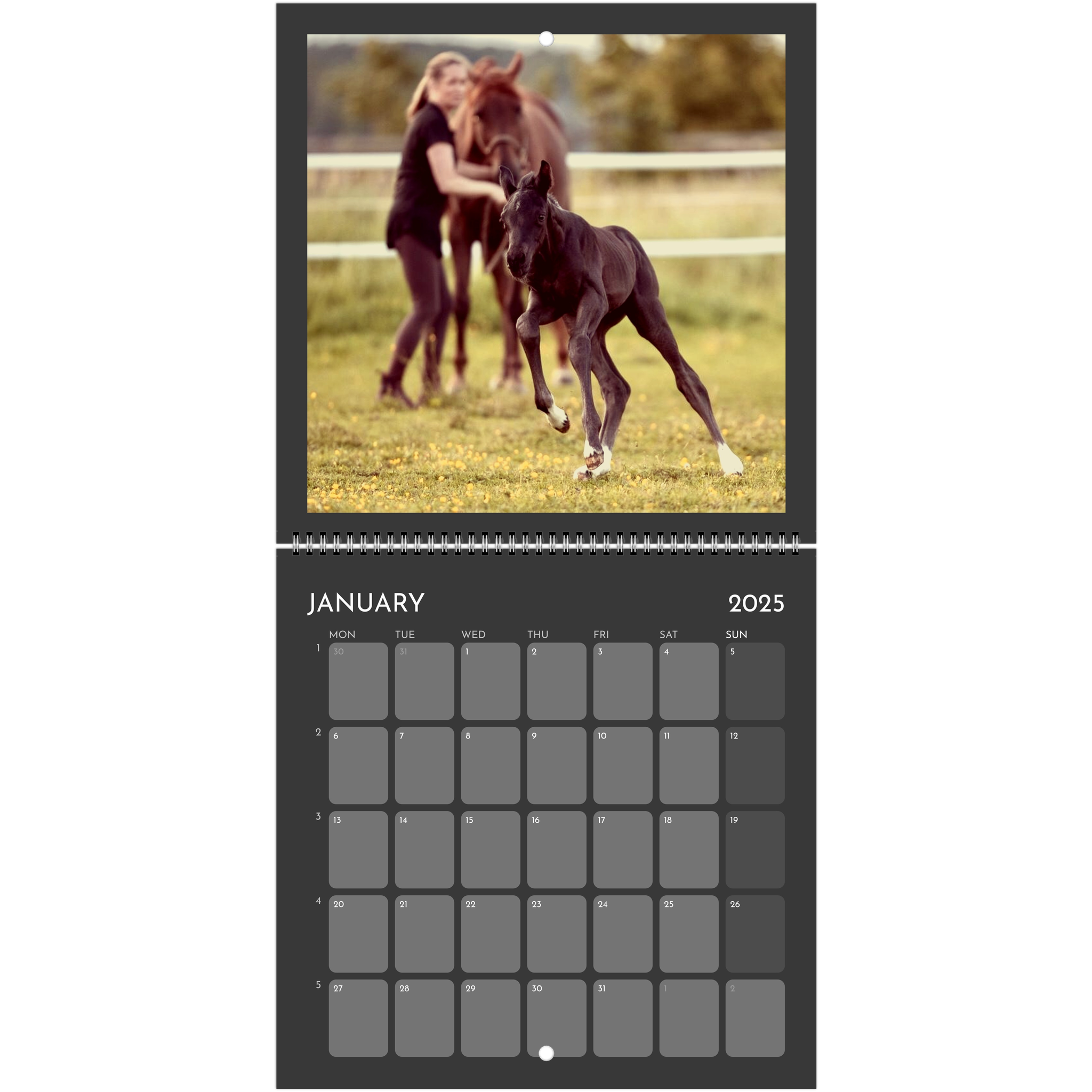 49506585-eb75-4999-ab6c-7702a7ee2af1