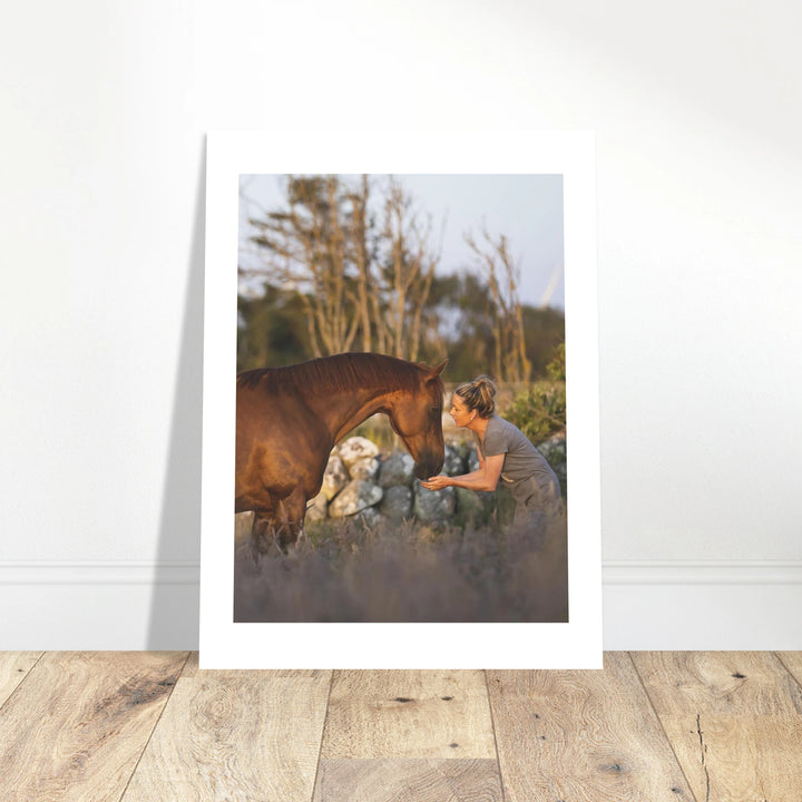Custom Horse Poster