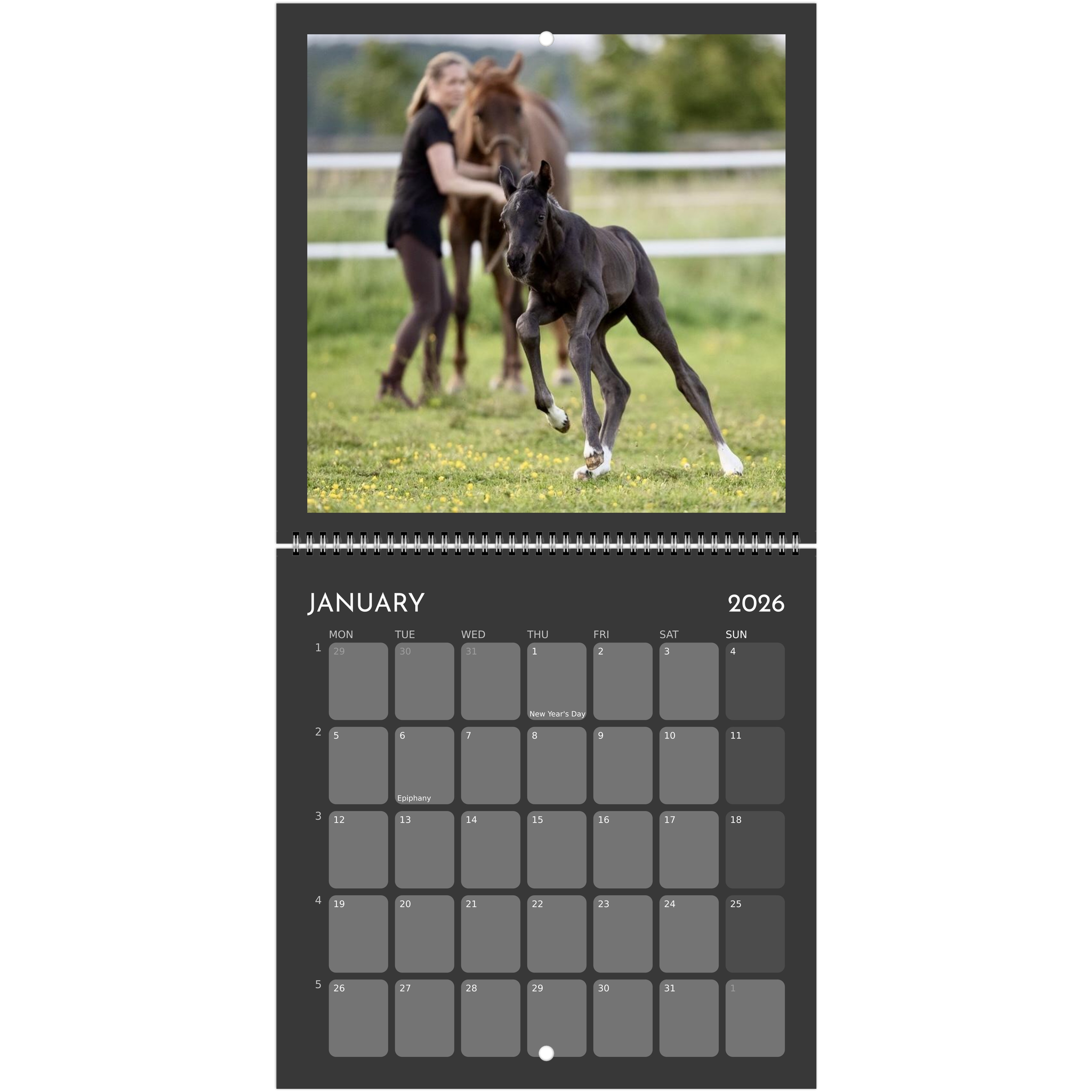 6d9d4f55-576f-42e4-b60a-c665cc3fc4d0