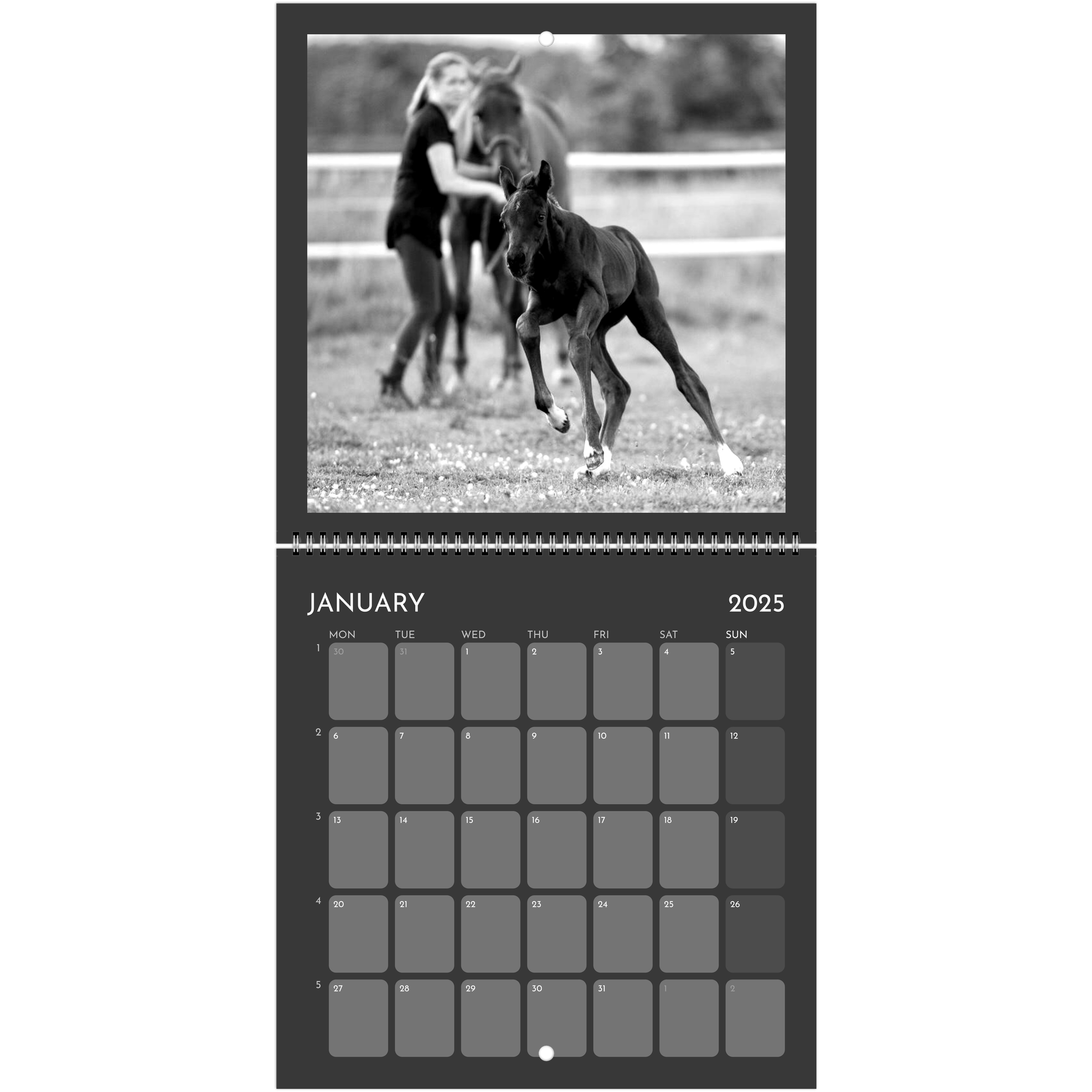 6faf9fba-9aaa-42ae-af92-60b0f84c57b6