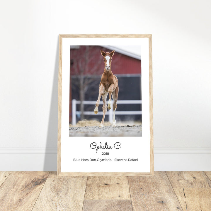 Custom Framed Horse Portrait