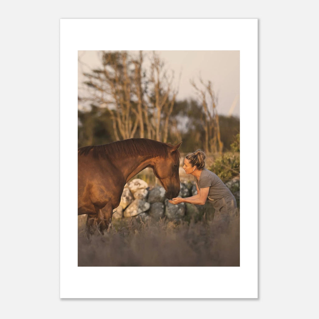 8fdb7307-ed74-40dd-a8db-003d940cb60f