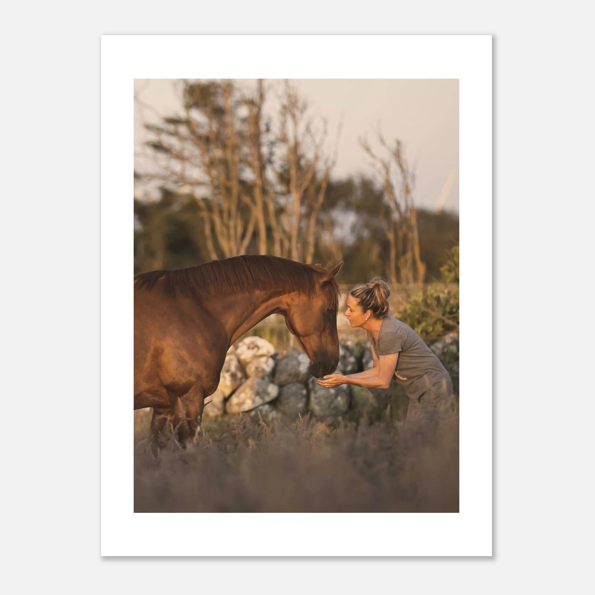 ac2d2b22-176f-4c0d-809f-8f0fdd805f3e