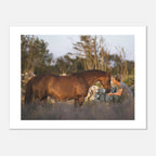 af0f15d7-63fe-4ba3-a18d-ed6681c1fdf2