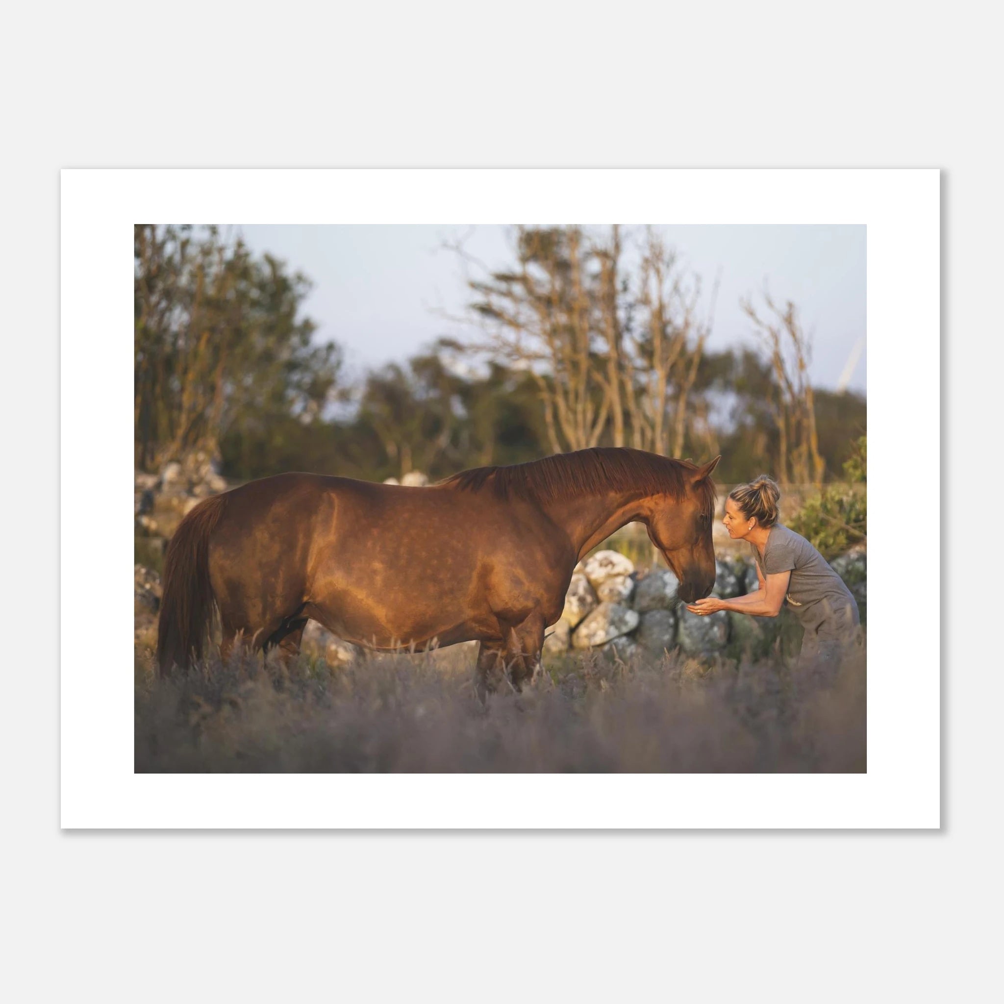 af0f15d7-63fe-4ba3-a18d-ed6681c1fdf2