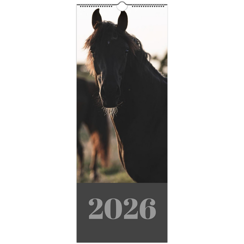 b2b9d773-228b-4b73-8944-9863b0fb866a