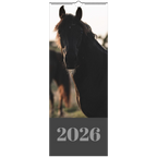 b2b9d773-228b-4b73-8944-9863b0fb866a