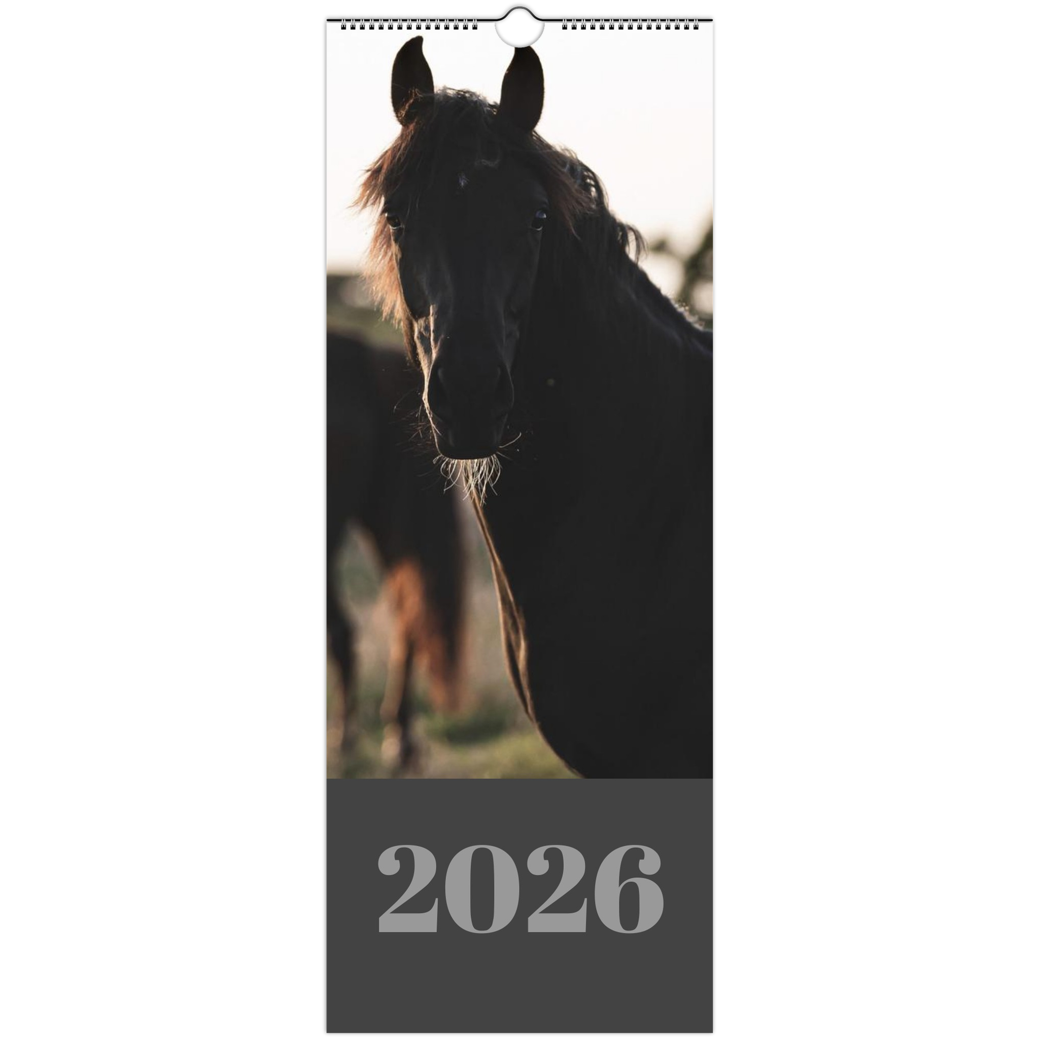 b2b9d773-228b-4b73-8944-9863b0fb866a