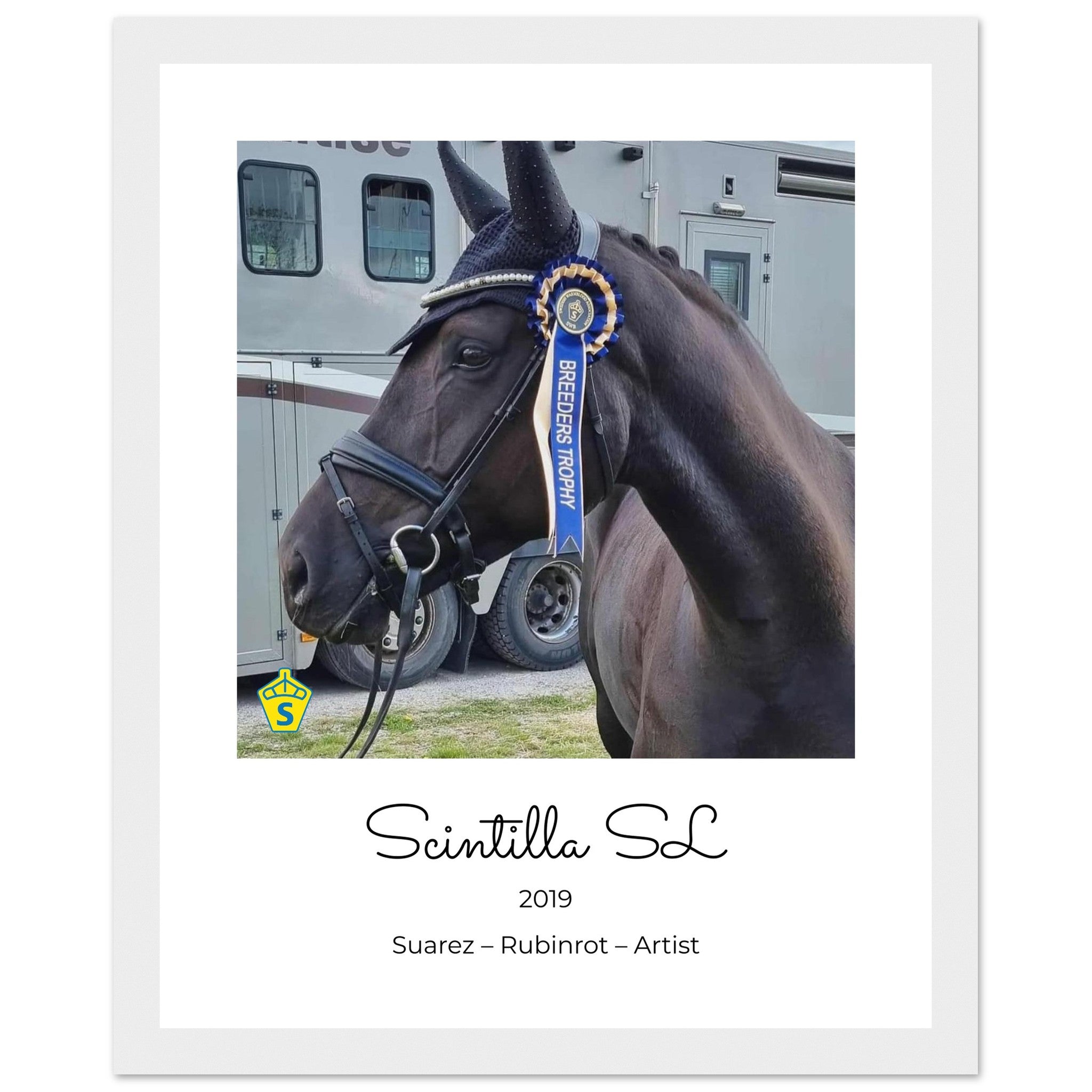 b9be9b81-a2d8-4425-8894-9587ff8b79b4