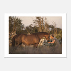 bd79250a-8680-41a1-ab67-09c542cc8e66