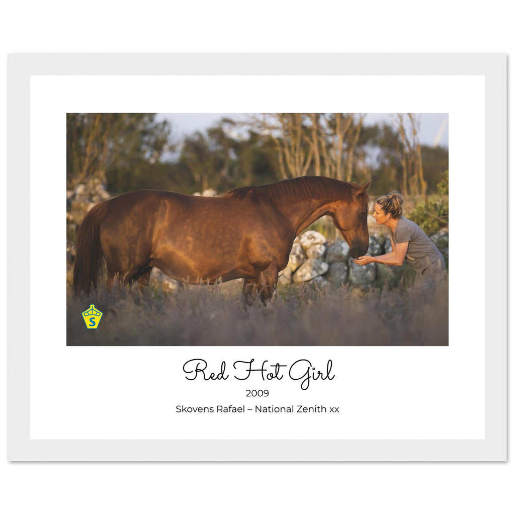 d31de81d-a975-400c-8286-b3289c00cd8b