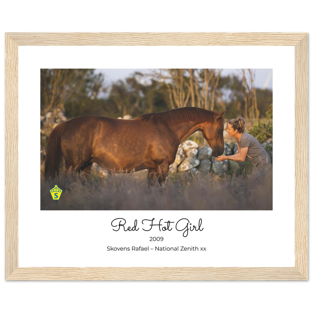 d8b82bce-5955-4602-a416-244be9c14b2a