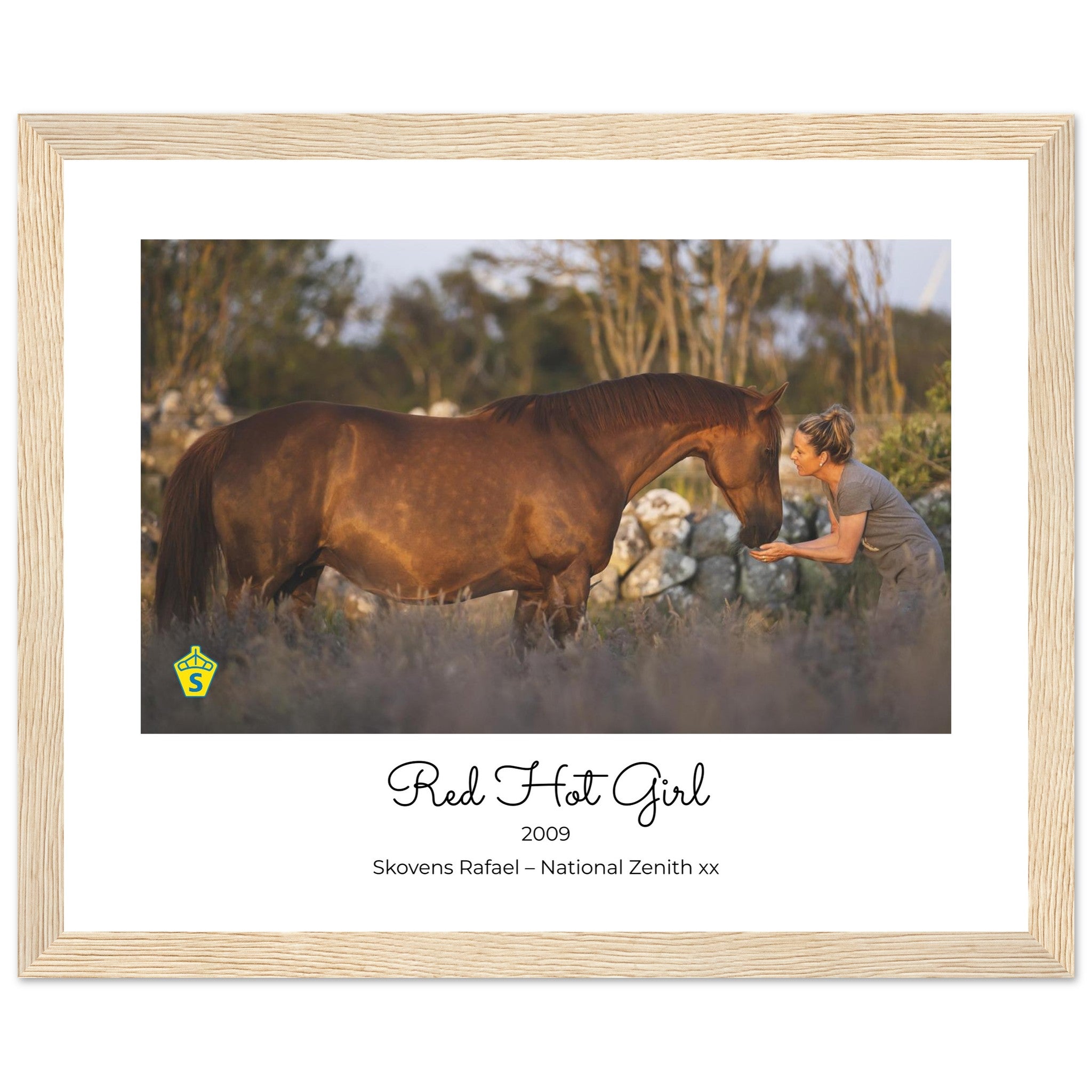 d8b82bce-5955-4602-a416-244be9c14b2a