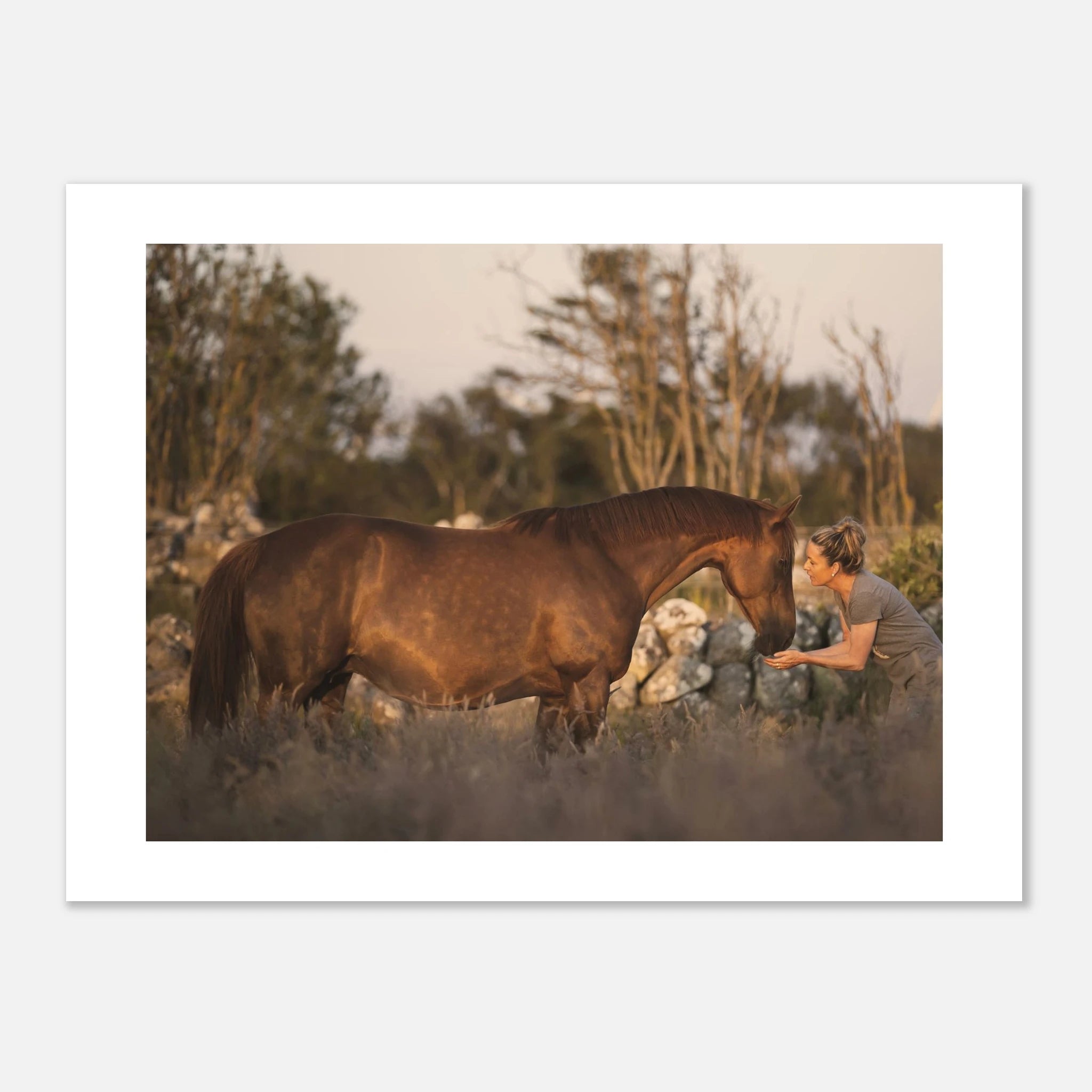 d93bcf5c-15a1-4b4c-8890-4b7e3e519387