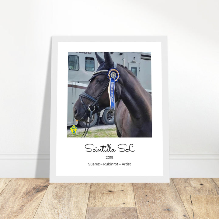 Custom Framed Horse Portrait