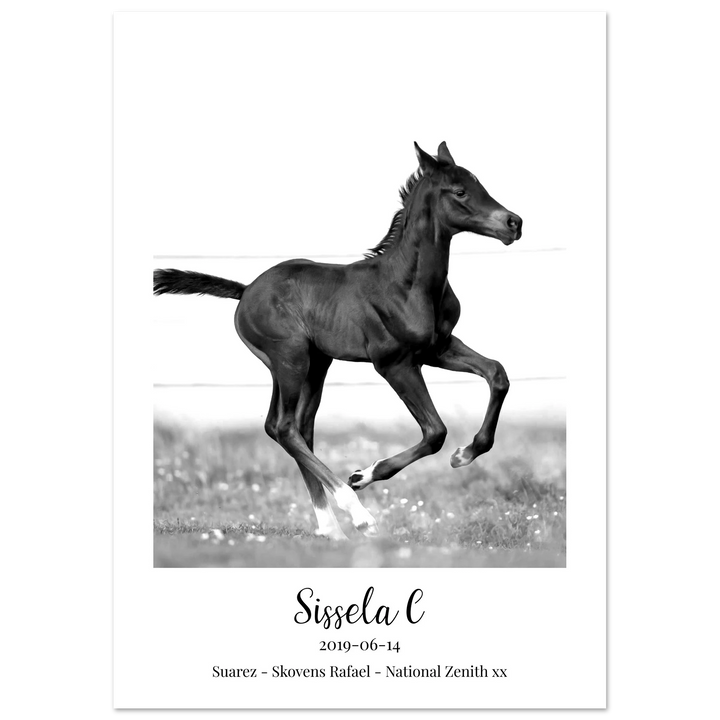 Custom Premium Matte Poster