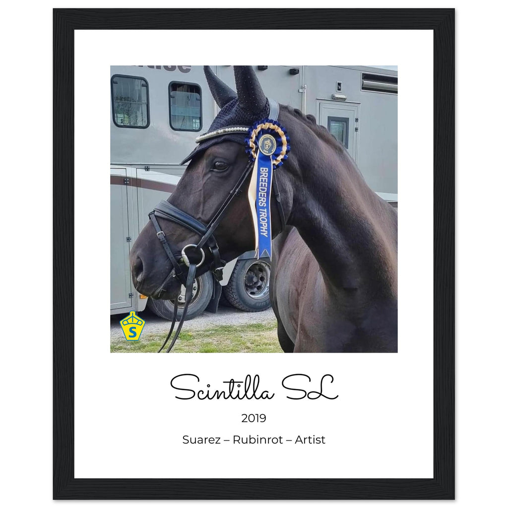 e2ba12e7-ace7-4a70-afa6-716578d4a992