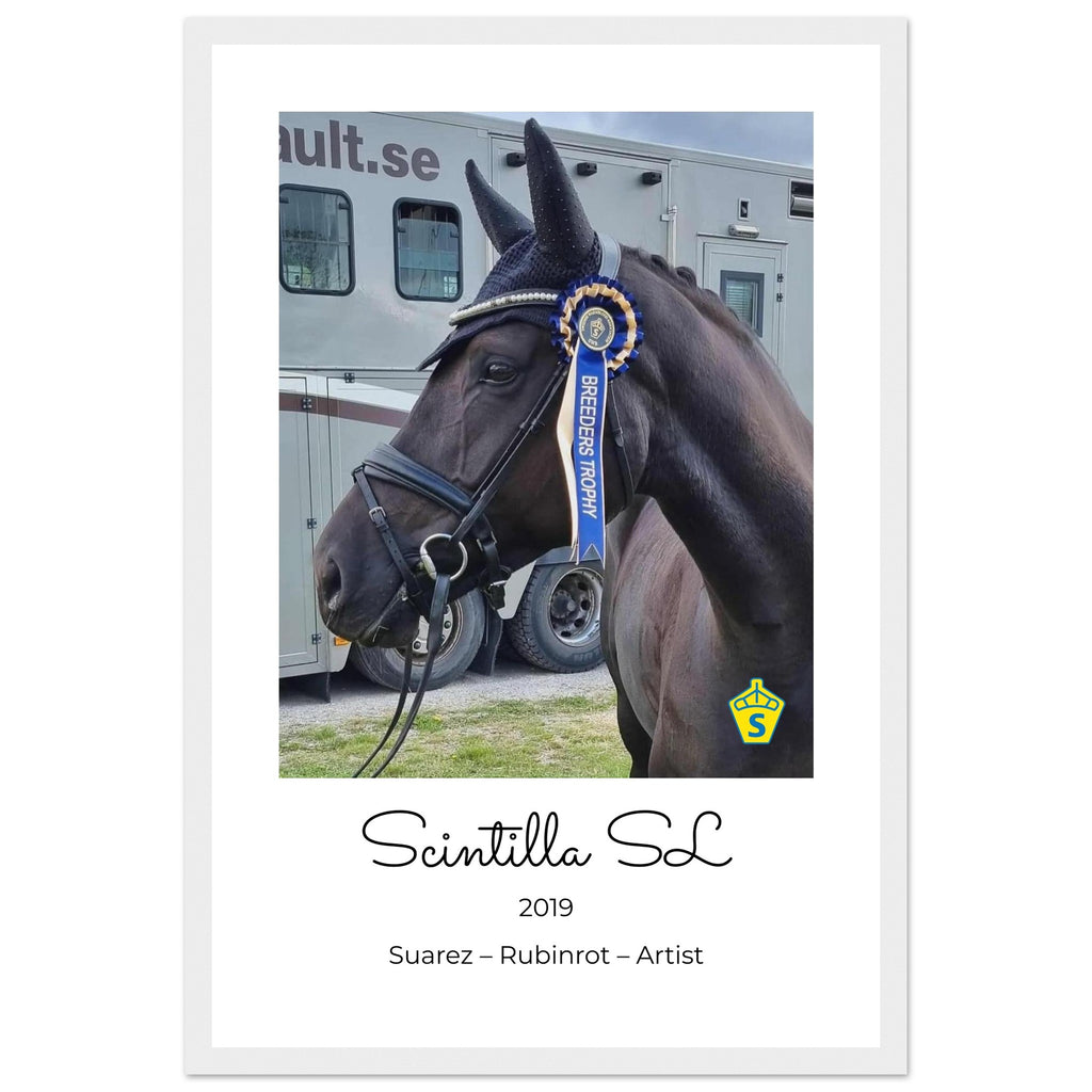 ed42e5e5-4827-4d00-9ff3-dba110546d9c