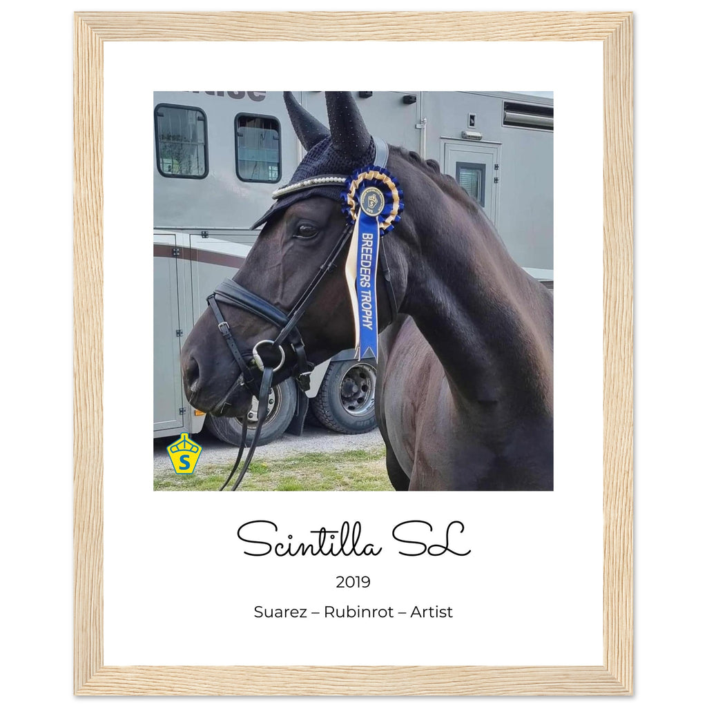 edfe66a0-be01-4805-b51e-60d58101de9b