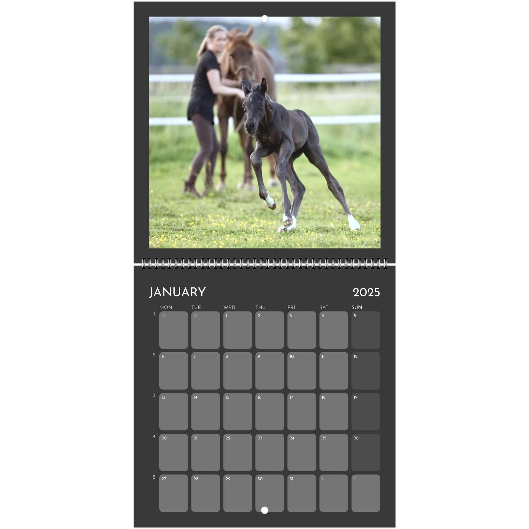 f32f256b-f016-4246-91ec-386d6c091837