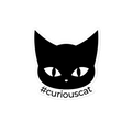 Curious Cat Sticker Stable & Style