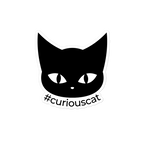 Curious Cat Sticker Stable & Style