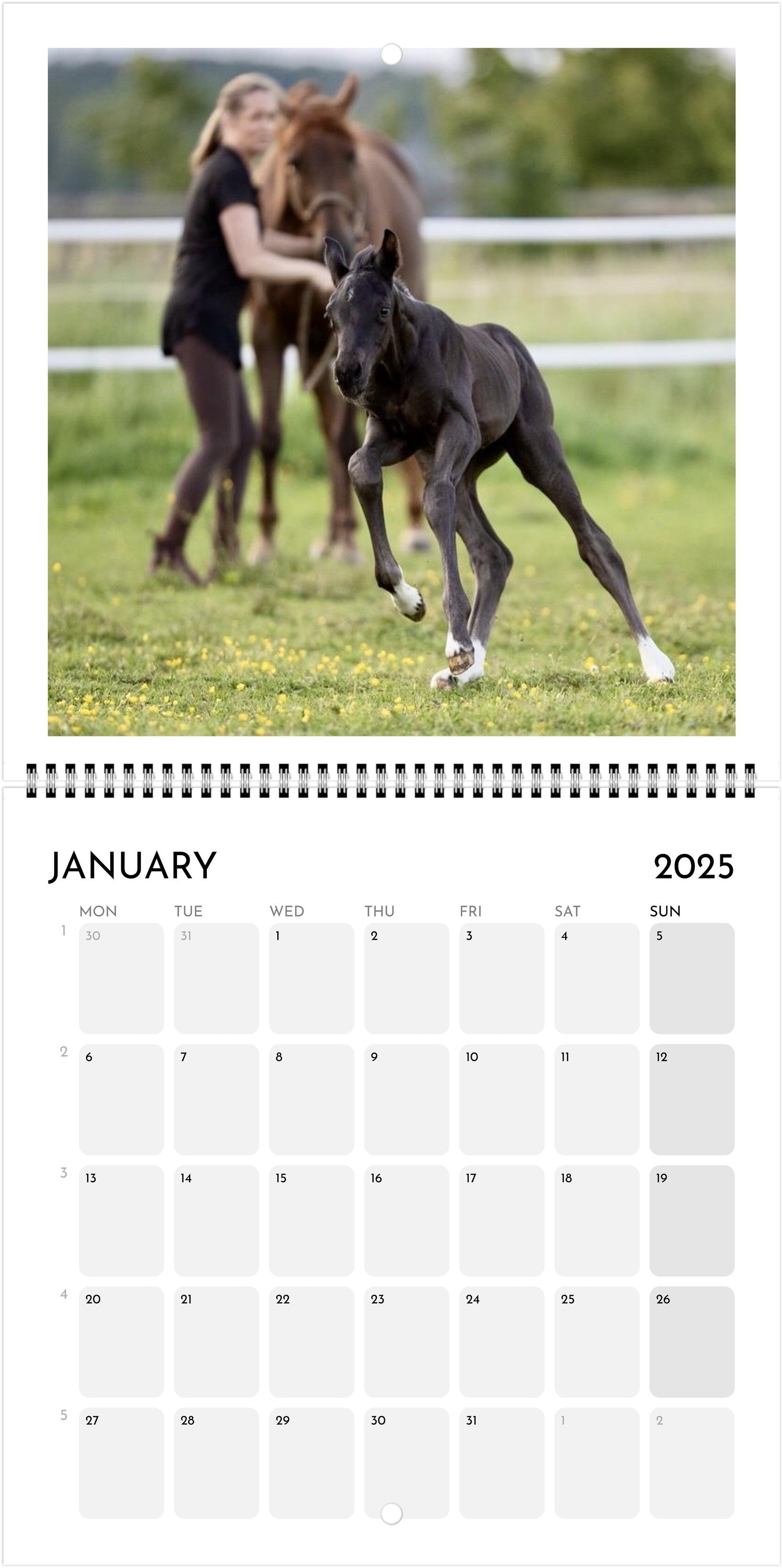 Custom Square Wall Calendar
