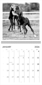 Custom Square Wall Calendar