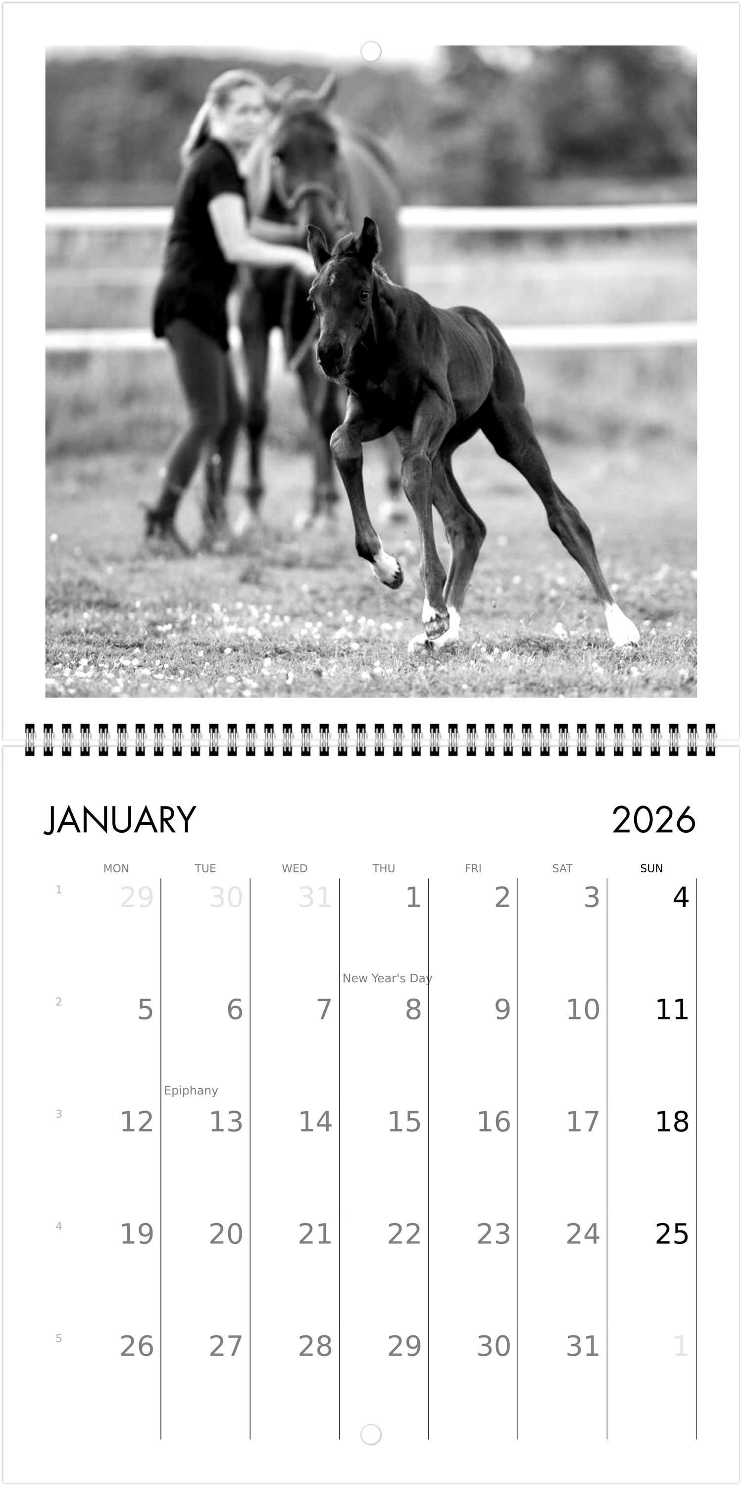 Custom Square Wall Calendar