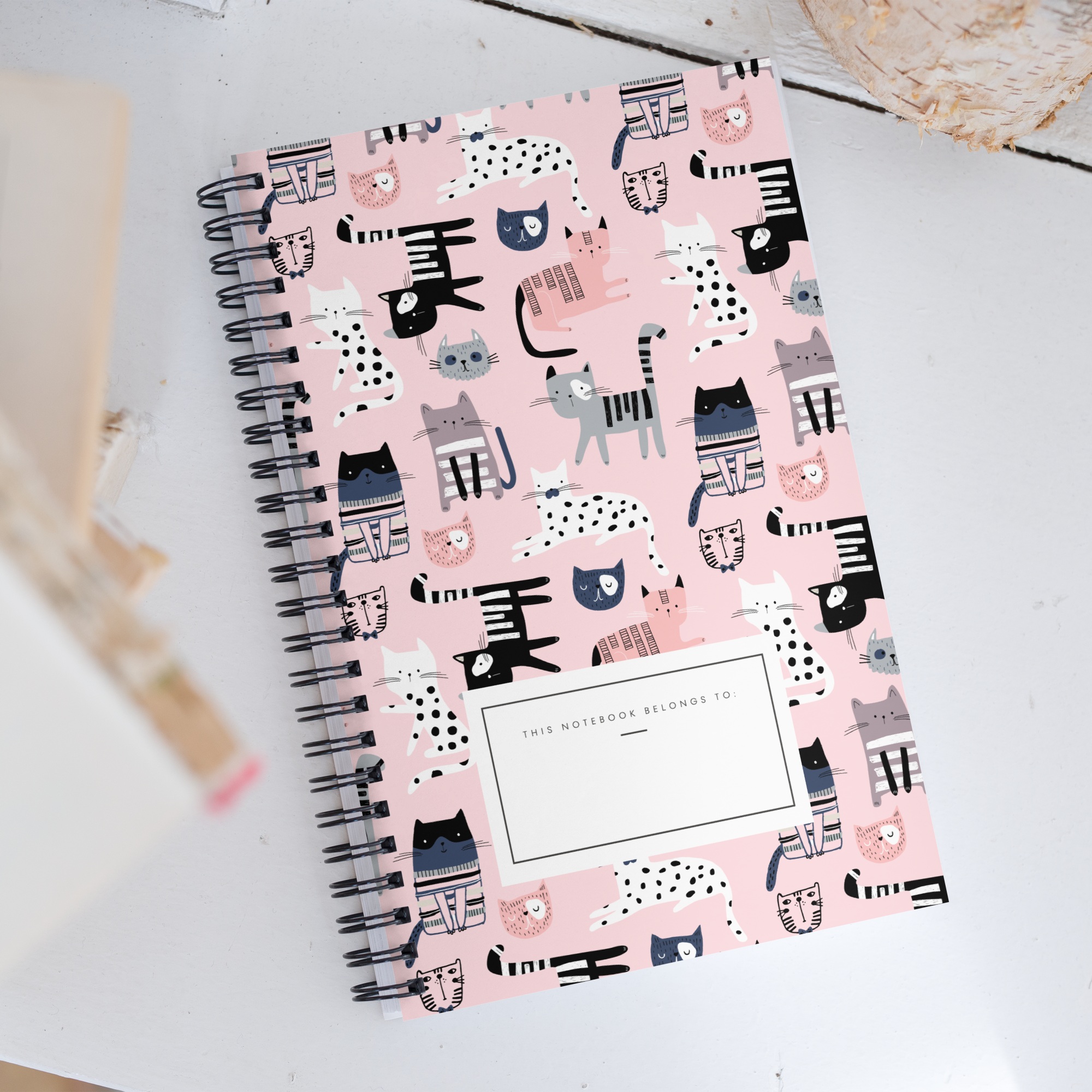 Curious Cat Notebook