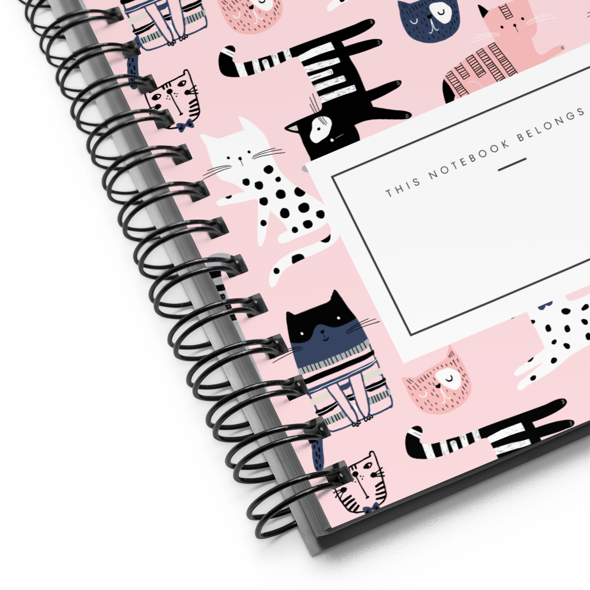 Curious Cat Notebook