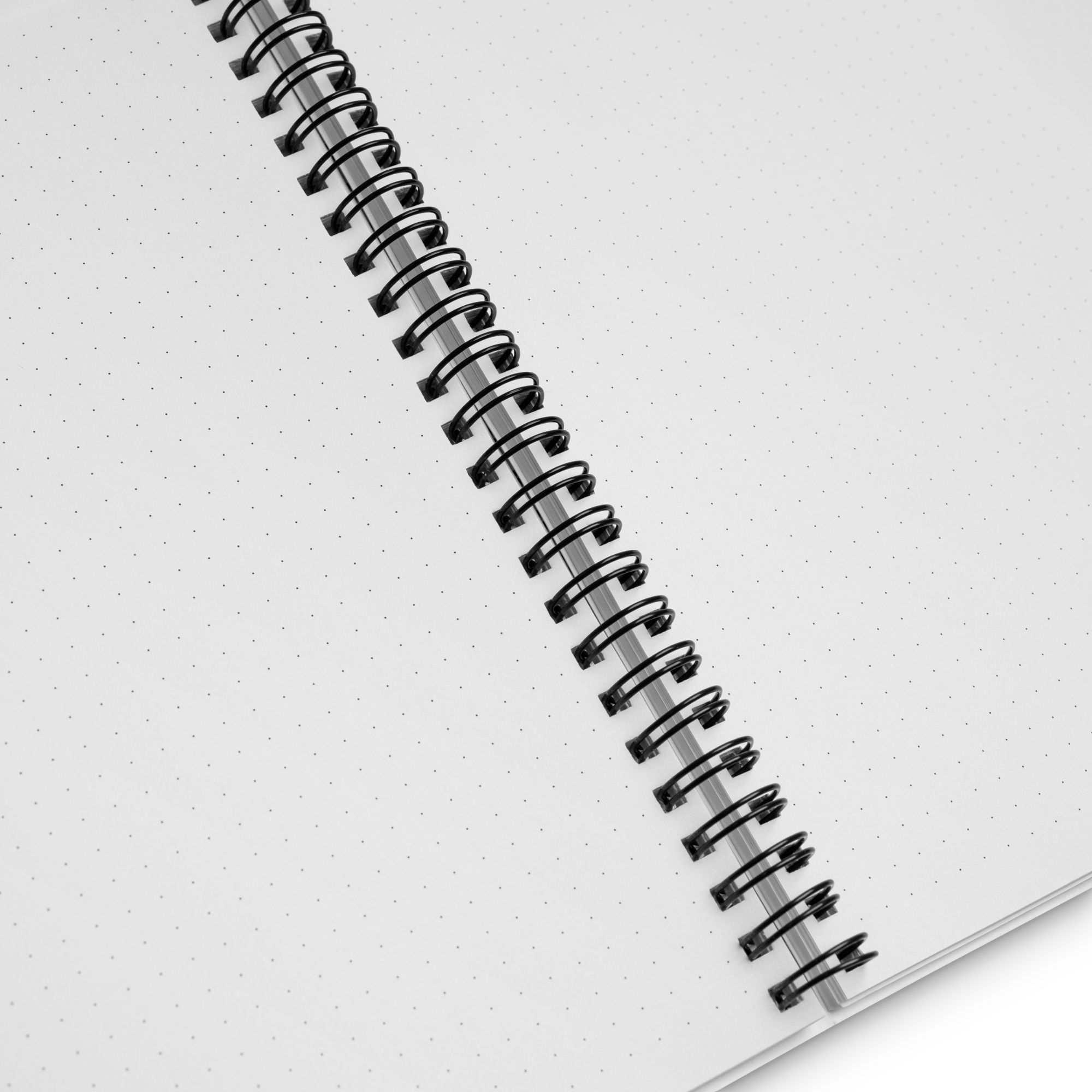 Curious Cat Notebook
